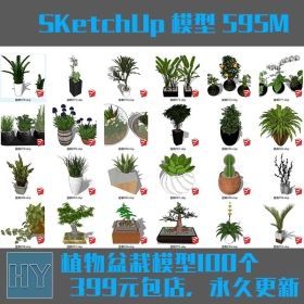 sketchup 植物盆栽模型 100个 595M