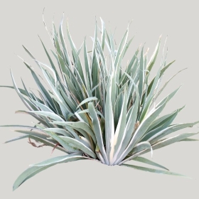 ͼʦģֲģȫ20222067