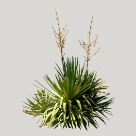 ͼʦģֲģȫ20221499