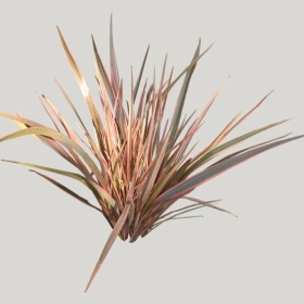 ͼʦģֲģȫ20221993