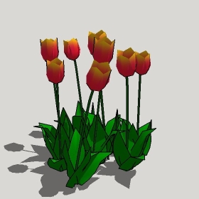 ͼʦģֲģȫ20221269