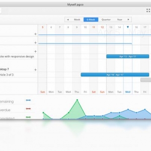 Pagico 7.1 (Mac OS X)
