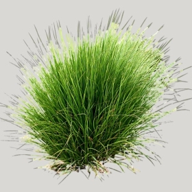 ͼʦģֲģȫ20221108