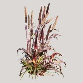 ͼʦģֲģȫ20222038