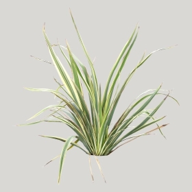 ͼʦģֲģȫ20222005