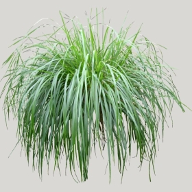 ͼʦģֲģȫ20221181