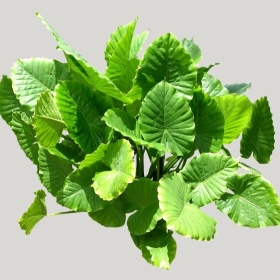 ͼʦģֲģȫ20221573