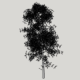 ͼʦģֲģȫ20222368