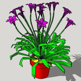 ͼʦģֲģȫ20221317