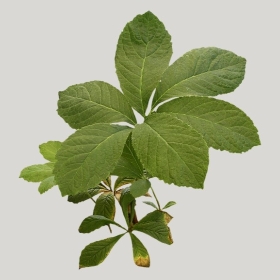 ͼʦģֲģȫ20221314