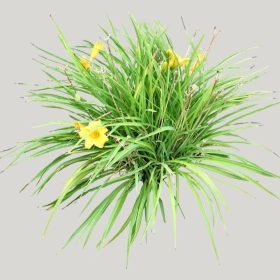 ͼʦģֲģȫ20221031