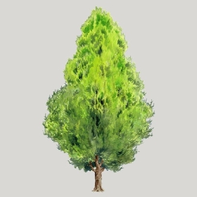 ͼʦģֲģȫ20222489