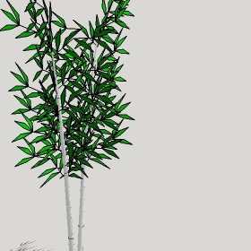 ͼʦģֲģȫ20222675