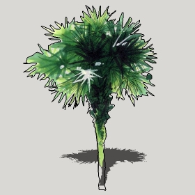 ͼʦģֲģȫ20222480