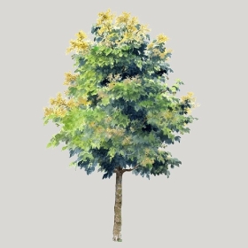 ͼʦģֲģȫ20222643