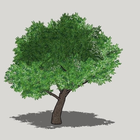 ͼʦģֲģȫ20221277