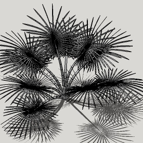 ͼʦģֲģȫ20222393