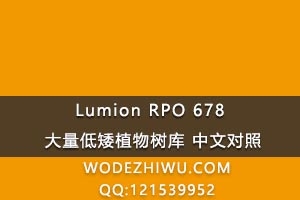 Lumion RPO 678 大量低矮植物树库 中文对照（C）