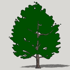 ͼʦģֲTTrees2Dֱģ058