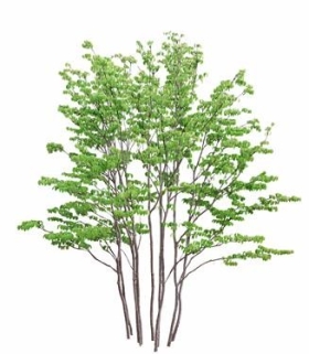 720úTF24