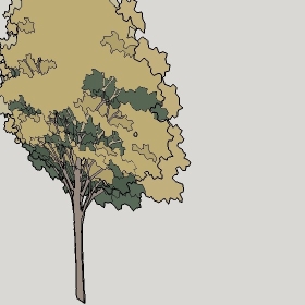 ͼʦģֲTTrees2Dֱģ145