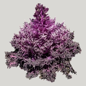 ͼʦģֲģȫ20221761