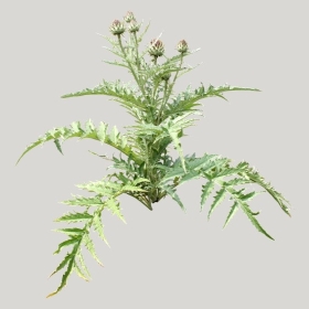 ͼʦģֲģȫ20221509