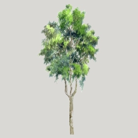 ͼʦģֲģȫ20222592