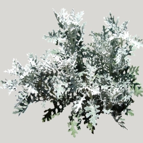 ͼʦģֲģȫ20221095