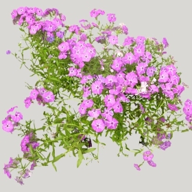 ͼʦģֲģȫ20221673