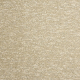 ͼⲼ-elizabeth-ly6782