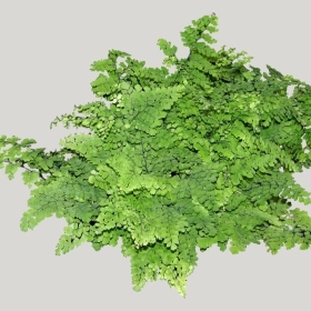 ͼʦģֲģȫ20221876