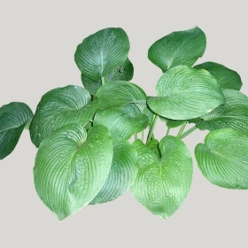 ͼʦģֲģȫ20221662