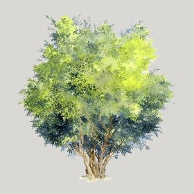 ͼʦģֲģȫ20222562