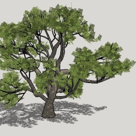 ͼʦģֲģȫ20221261