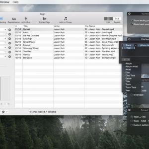 Tagr 4.6.5 绿化版 Mac 音乐元标签编辑管理工具