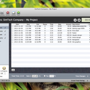 TaskTime4 v5.2.3 绿化版 Mac 项目管理工具