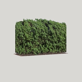 ͼʦģֲģȫ20222692