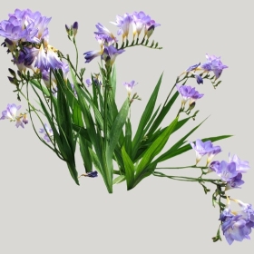 ͼʦģֲģȫ20221382