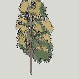 ͼʦģֲTTrees2Dֱģ142