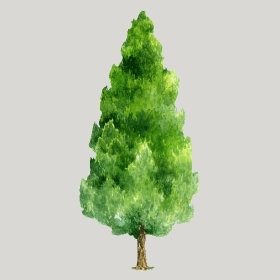 ͼʦģֲģȫ20222530