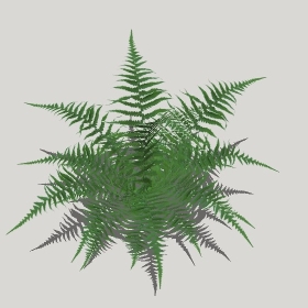 ͼʦģֲģȫ20221253