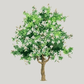 ͼʦģֲģȫ20221869