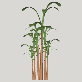 ͼʦģֲģȫ20222364