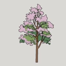 ͼʦģֲģȫ20222703