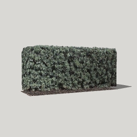 ͼʦģֲģȫ20222711