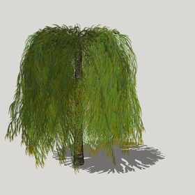 ͼʦģֲģȫ20221303