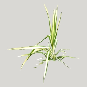 ͼʦģֲģȫ20221428