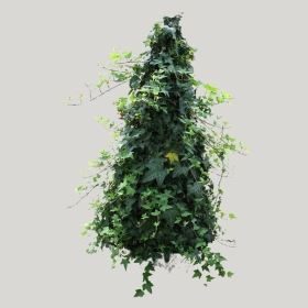 ͼʦģֲģȫ20221127