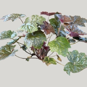 ͼʦģֲģȫ20221594